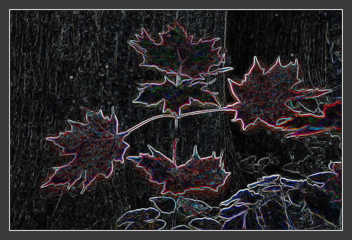 Sent_II (700x477, 179Kb)