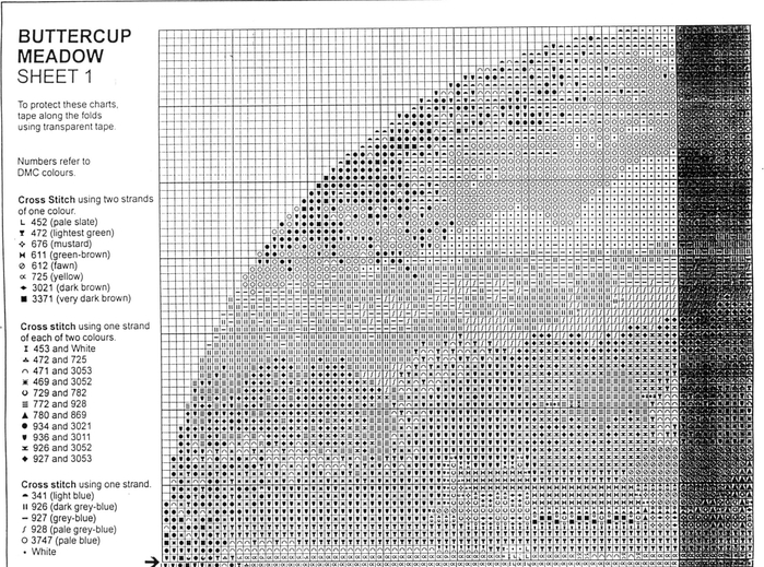 JCBM273_Buttercup_Meadow1-2 (700x519, 298Kb)