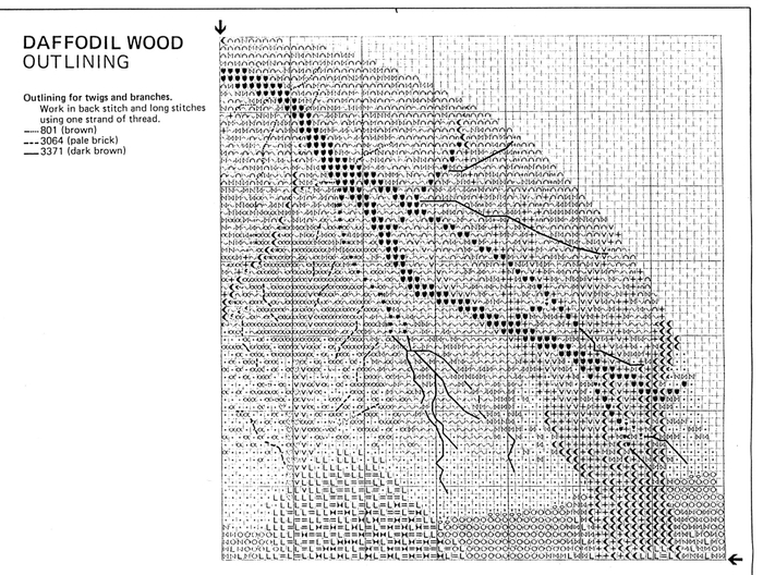 JCDW241 Daffodil Wood4 (700x528, 247Kb)