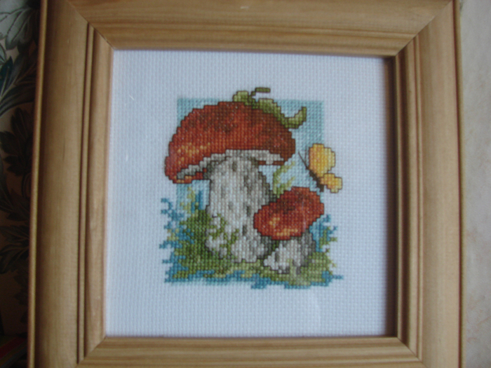 DSC06053 (700x525, 434Kb)