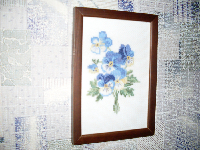 SDC10725 (700x525, 477Kb)