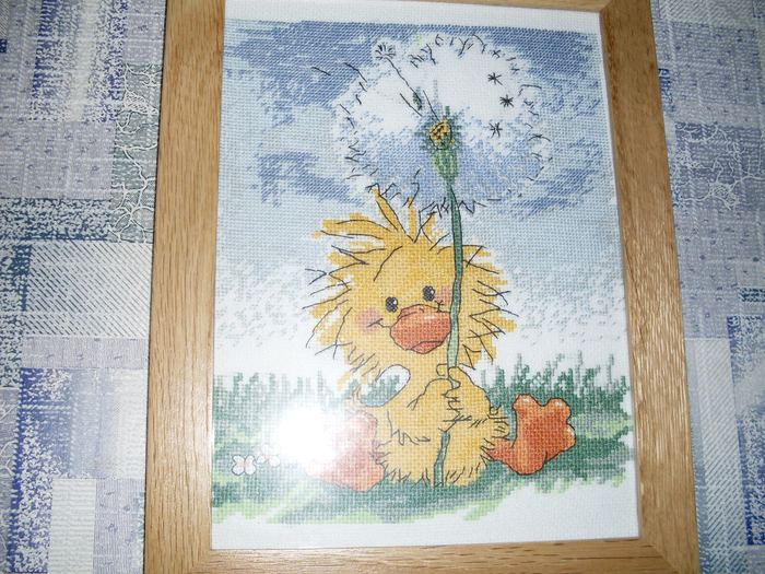 SDC10728 (700x525, 575Kb)