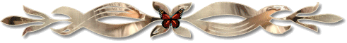 85165476_3d0d02e29238 (491x61, 34Kb)