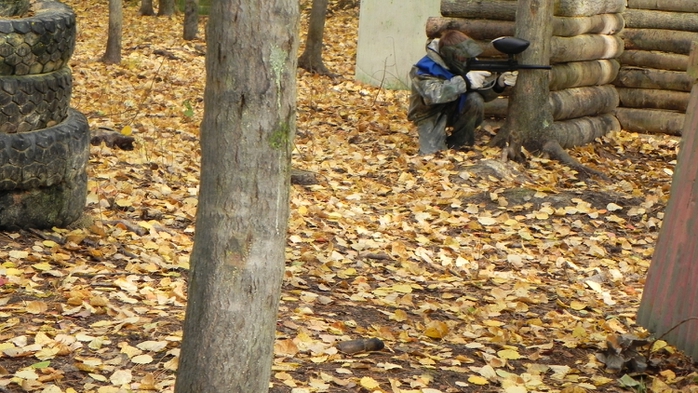 DSCN7489 (700x393, 286Kb)