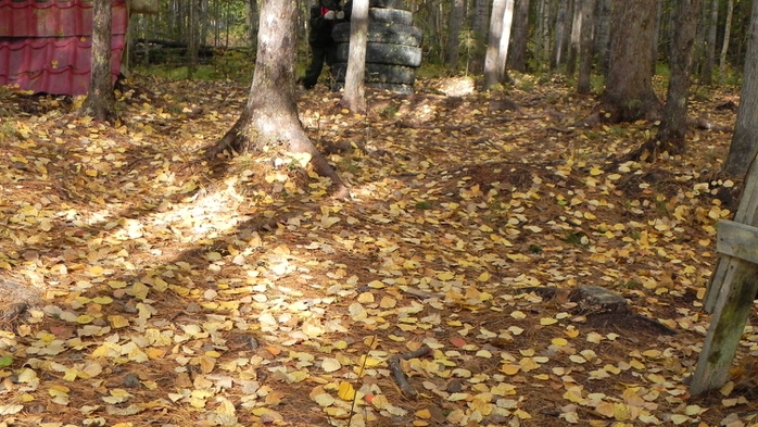 DSCN7505 (700x393, 286Kb)