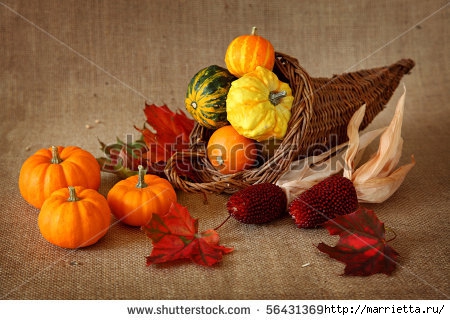 stock-photo-cornucopia-with-pumpkins-on-brown-background-56431369 (450x320, 118Kb)