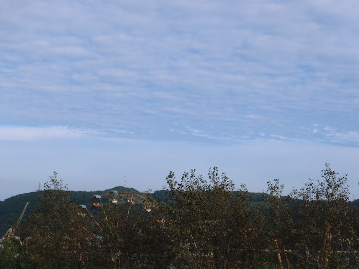 CIMG4943 (700x525, 238Kb)