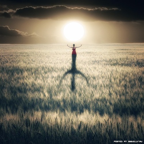 0_58ab5_f9f49963_L (500x500, 73Kb)