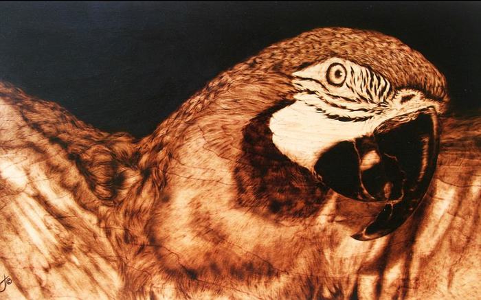 4826692_mIyNjJjN2 (700x437, 60Kb)