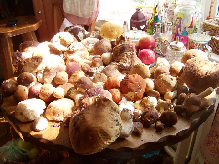 4031492_100_3925 (700x525, 338Kb)