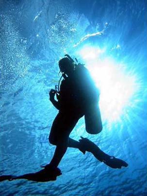 Scuba Diving photo2 (303x404, 49Kb)