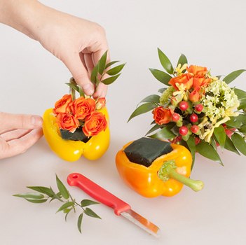 Cny-ZfAnTkQ.jpg4 (351x350, 25Kb)