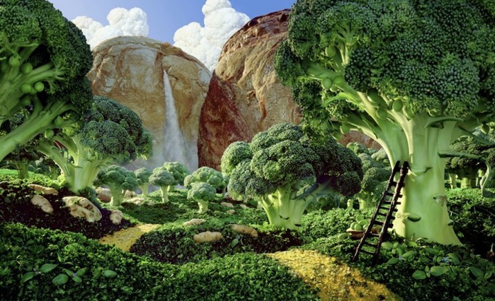 carlwarner_foodlandscapes2 (700x426, 141Kb)