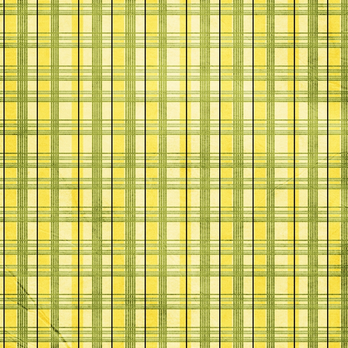 HFD_IM_YllwnGrnPlaid (700x700, 463Kb)