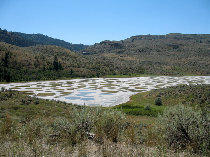 spotted lake (6) (700x525, 225Kb)