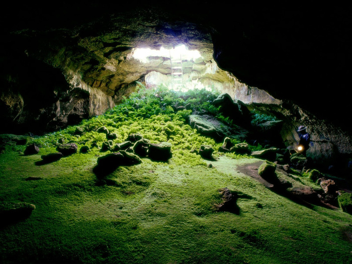 cave-03 (700x525, 192Kb)