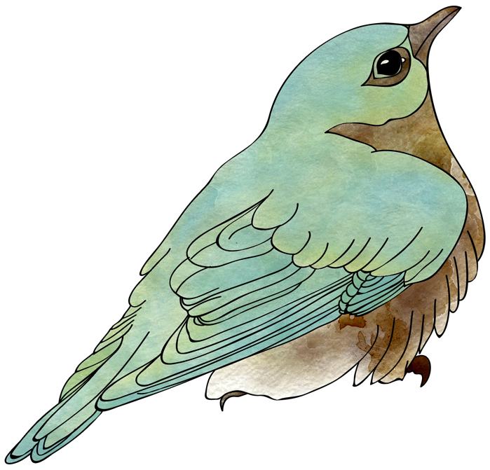 HeatherT-TheWayYouAre-Birdie (699x671, 466Kb)