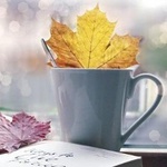  cropped-autumnheartleafleavessweetwow-f29b781fe14122dc88c399c0d6e6b135_h_large21 (200x200, 23Kb)