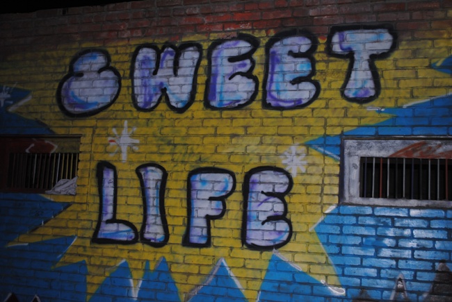 DSC_0932 (650x435, 145Kb)