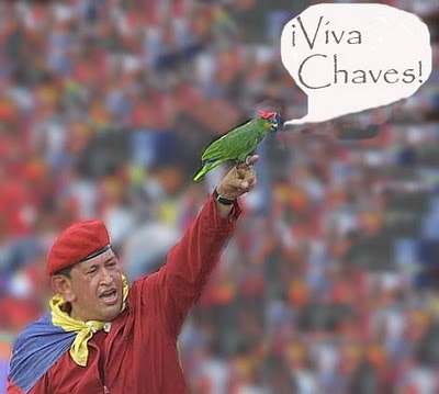 Viva Chaves01 (400x359, 25Kb)