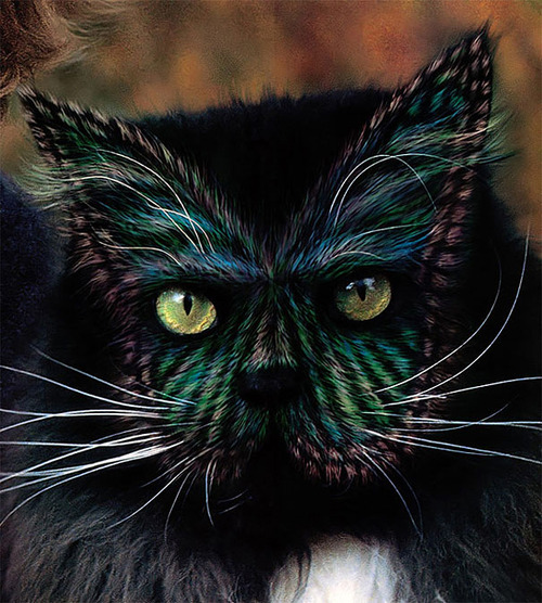 tumblr_maane77CIZ1qbmgeto4_500 (500x556, 127Kb)
