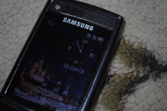DSC_0995 (650x435, 134Kb)