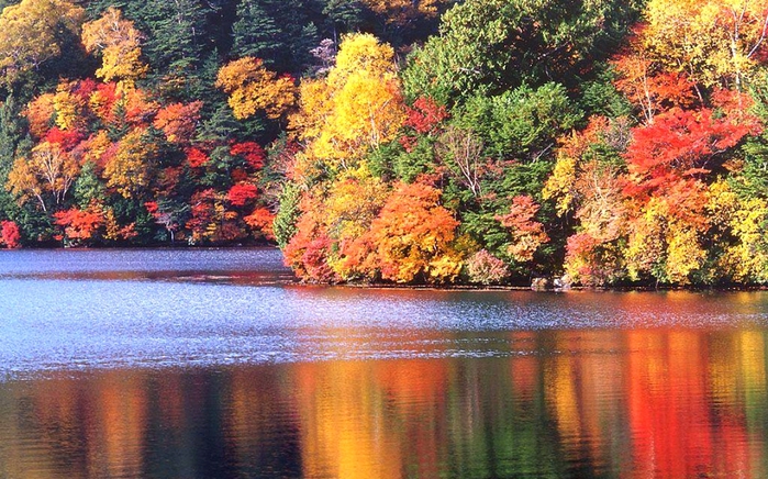 18 (700x436, 340Kb)