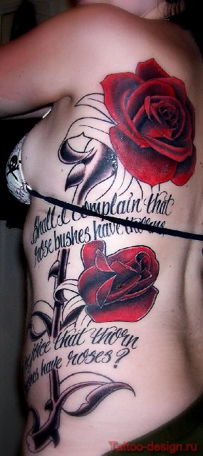 rose_057 (285x640, 50Kb)