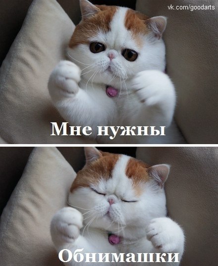-qsflylv6y8 (440x537, 49Kb)