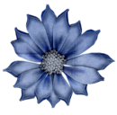 023465622 (130x128, 64Kb)