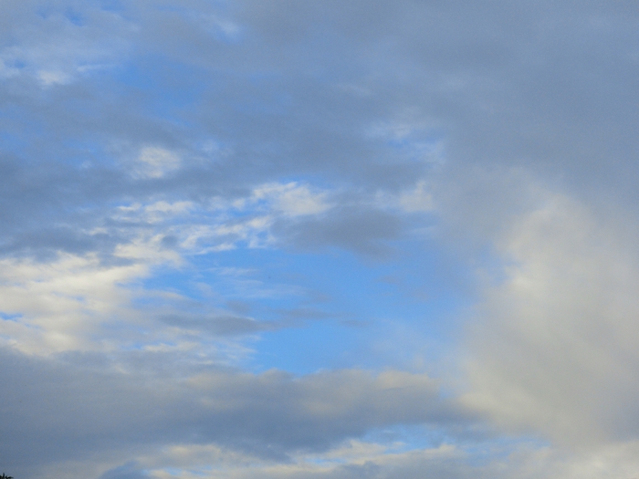 CIMG5318 (700x525, 176Kb)