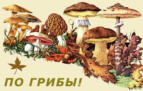 mushroom-index-1 (467x298, 70Kb)