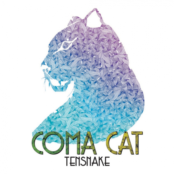 1742478_Tensnake__Coma_Cat_Bargrooves_Version_Mix (700x700, 279Kb)