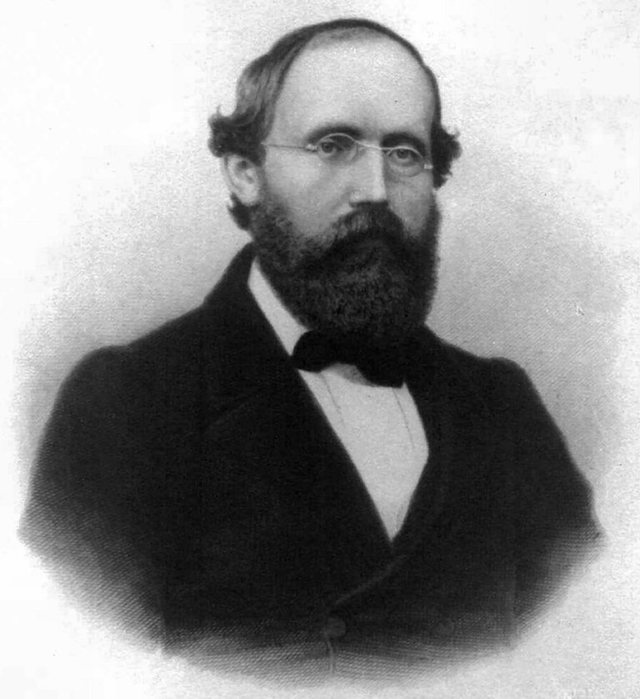 Georg_Friedrich_Bernhard_Riemann (640x700, 60Kb)