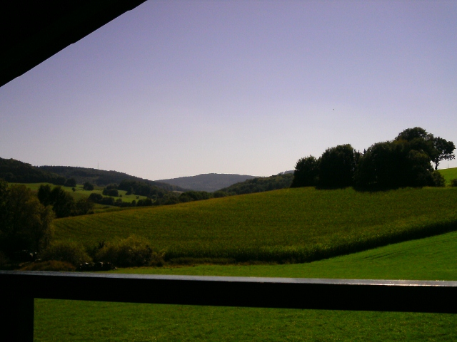 PTDC0517 (640x480) (640x480, 180Kb)