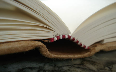 5056058_quotebook (480x300, 21Kb)