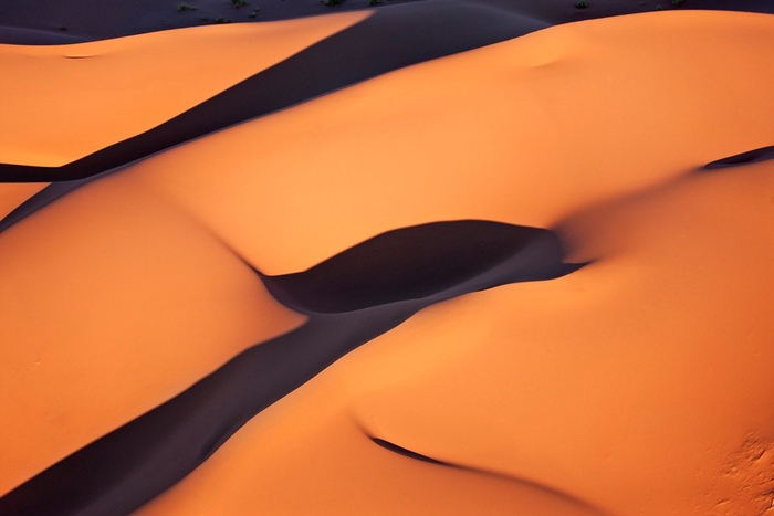 1347956760_4 (700x467, 71Kb)