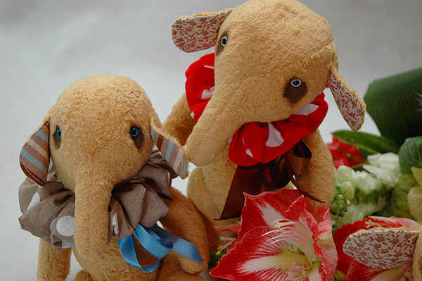 DSC_2386 (600x399, 109Kb)