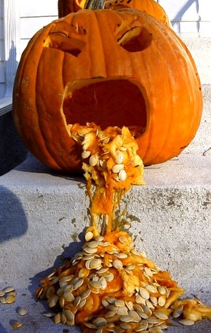 pumpkin-300[8] (300x473, 61Kb)