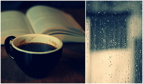tumblr_lzgve0BmoR1qzhokmo1_500 (500x295, 96Kb)