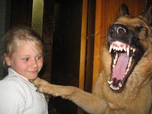 3623822_Funny_Laughing_Animals_6 (600x450, 58Kb)