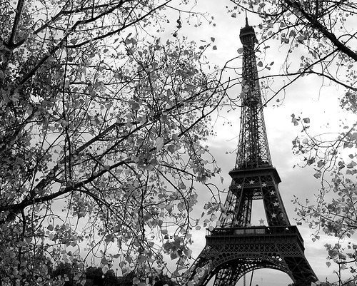 black-eiffel-tower-paris-vintage-Favim.com-422793 (500x401, 104Kb)