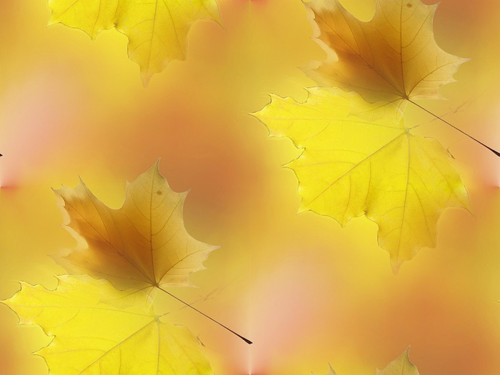 1 (700x525, 62Kb)