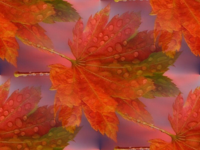 3 (700x525, 85Kb)