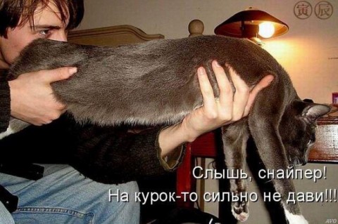 82171369_bigttt (480x319, 50Kb)