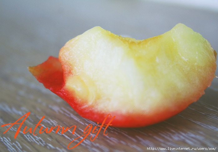 643384_IMG_2009_1024_ (700x487, 166Kb)