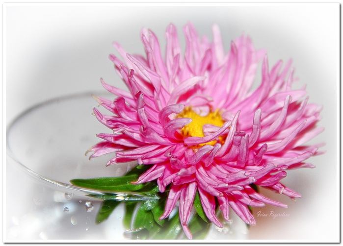IMG_3327   (700x502, 168Kb)