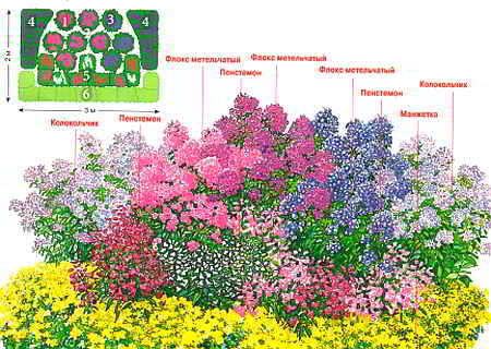 cvetnik1 (450x320, 31Kb)