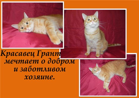  (560x396, 42Kb)