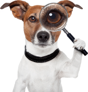 3875523_dogdetective (308x321, 42Kb)